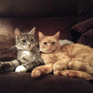 Meet your Posher, Lynn